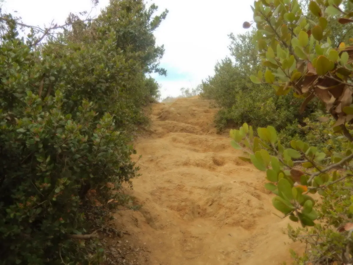 A rugged hiking trail in Griffith Park