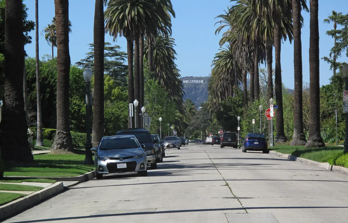 Palm-lined street with the Hollywood Sign in the distance